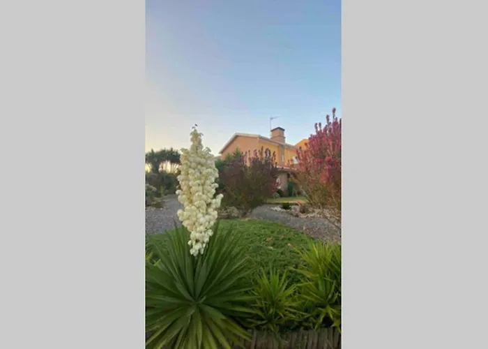 Casa Petroleiro * Albergaria-a-Velha