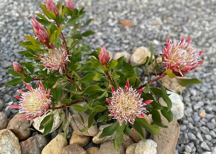 Casa Petroleiro Appartamento