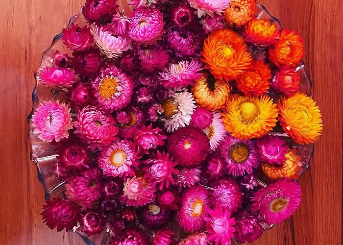 Appartamento Casa Petroleiro